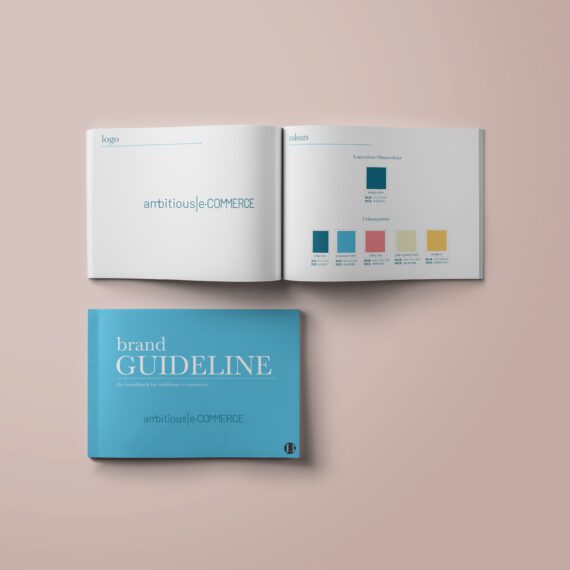 hellblaues Magazin zur Darstellung der Markenguidline