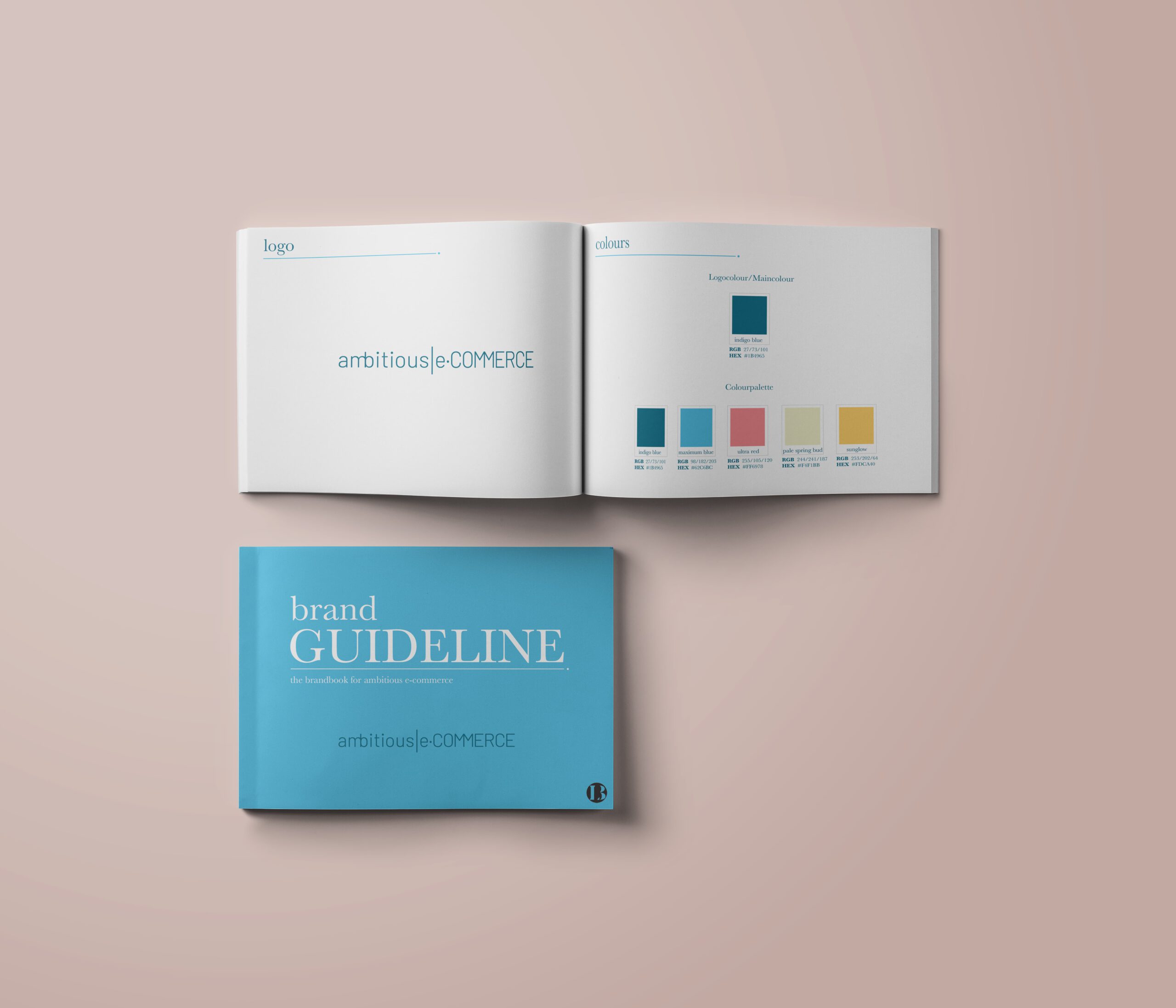 hellblaues Magazin zur Darstellung der Markenguidline